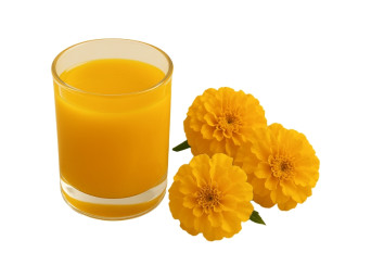 Lutein Sarı Sıvı Doğal Gıda Boyası (Su Bazlı)