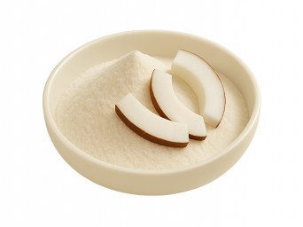 Hindistan Cevizi Toz Gıda Aroma Vericisi 25kg