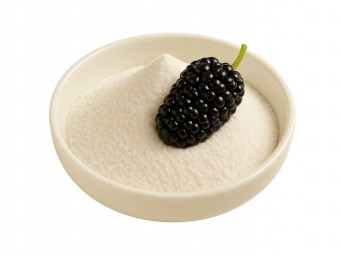 Karadut Toz Gıda Aroma Vericisi 25kg