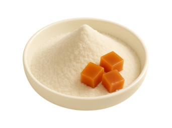Karamel Toz Gıda Aroma Vericisi 25kg